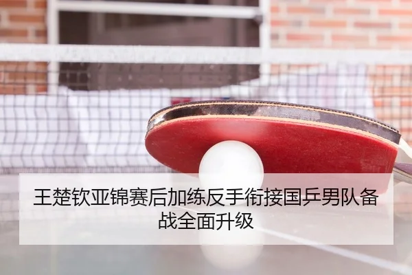 王楚钦亚锦赛后加练反手衔接国乒男队备战全面升级
